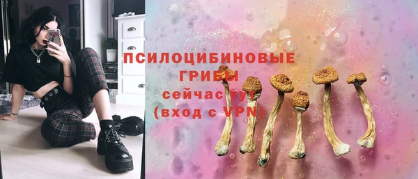 дурь Алексин